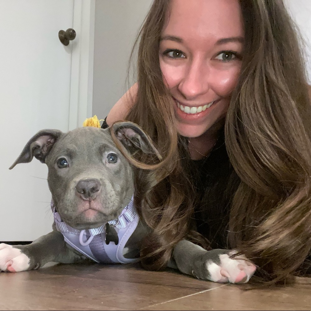 Meet your Posher, Blake